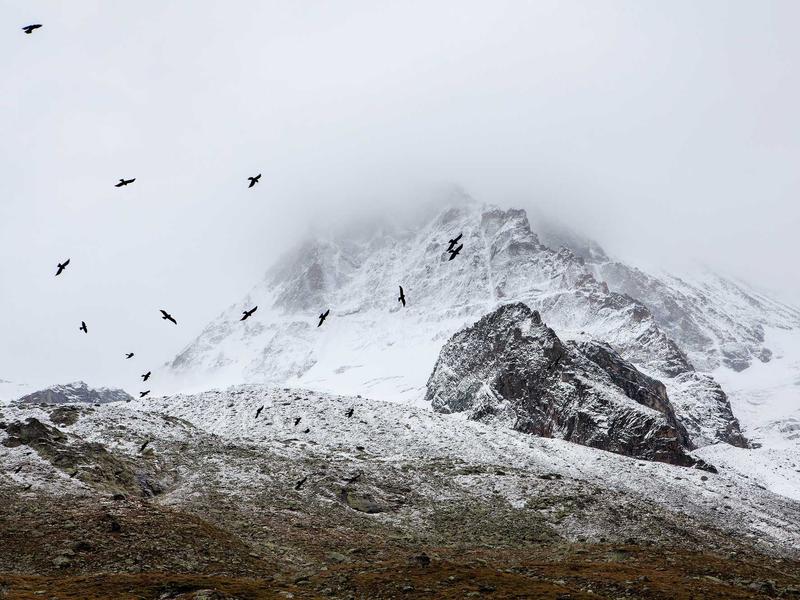 partners screenshot 1